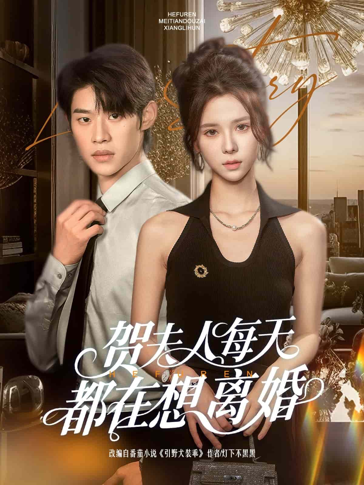 贺夫人每天都在想离婚剧照